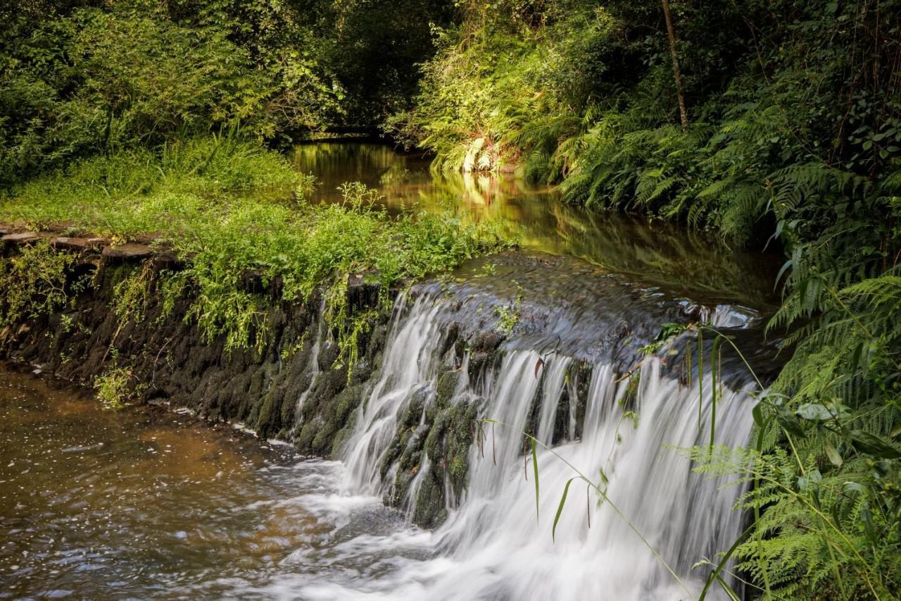 Be&See In River Ovar Exterior photo
